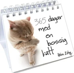 365 dagar med en bossig katt