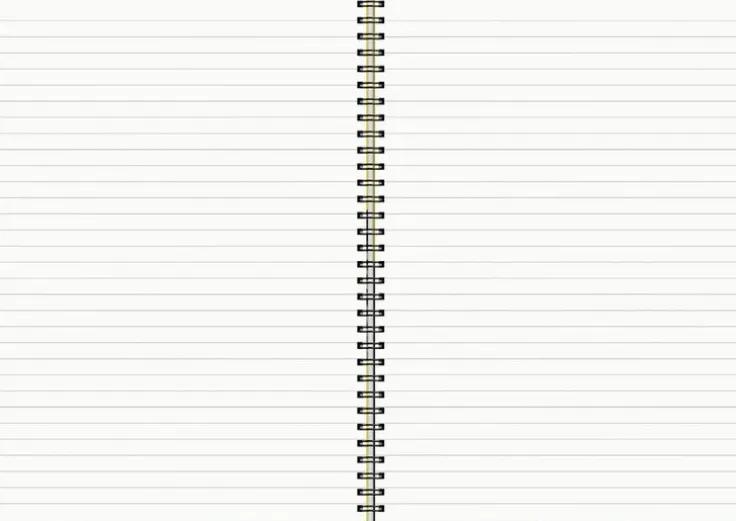 Anteckningsbok A4 wire-o linjerad Leopard