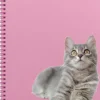 Anteckningsbok A4 wire-o linjerad Katt/Hund