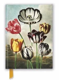 Anteckningsbok 22x16cm linjerad Temple of Flora: Tulips