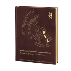 Bladmossor: Vitmossor - knappnålsmossor: Bryophyta: Sphagnum-Tetrodontium