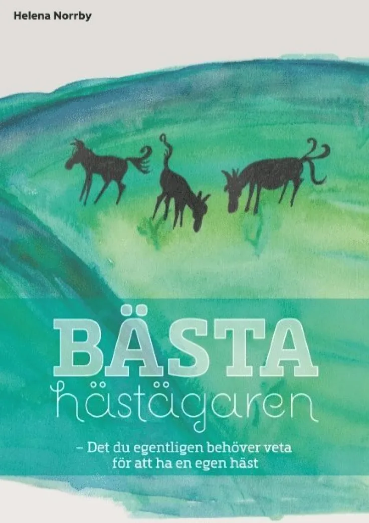 Bästa hästägaren : det du egentligen behöver veta för att ha en egen häst