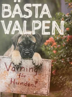 Bästa valpen