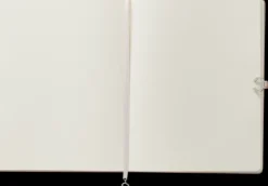 Dagbok Take no shit Efva Attling