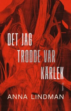 Det jag trodde var kärlek : en bok om psykiskt våld