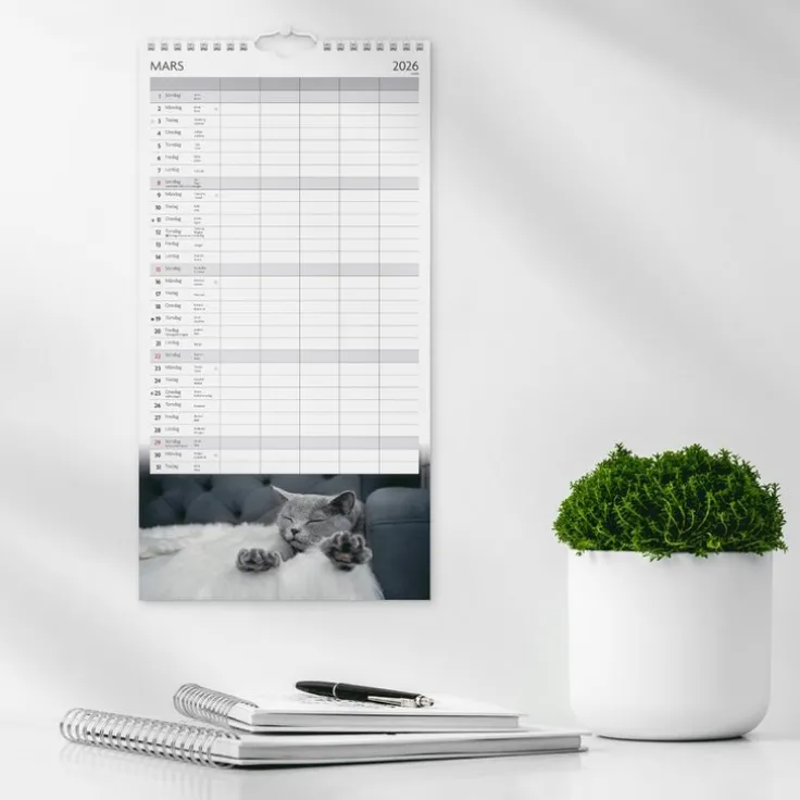 Familjekalender 2026 Katter