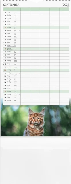 Familjekalender 2026 Katter