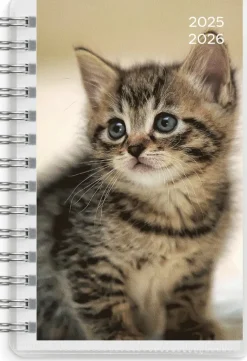 Kalender 2025-2026 Compact Pets