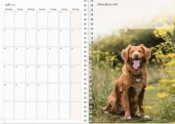 Kalender 2025 Hundkalendern