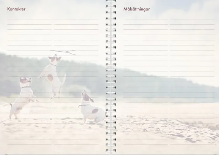 Kalender 2025 Hundkalendern