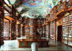 Pussel 1000 bitar Library at St. Florian Monastery
