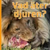 Vad äter djuren?