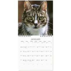 Väggkalender 2026 Grumpy Cats Mini