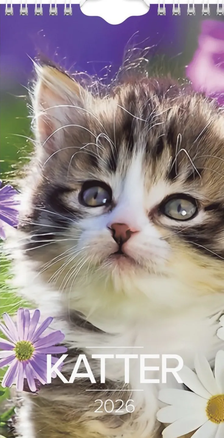 Väggkalender 2026 Liten Kattkalender